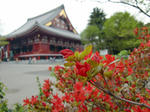 061x800.JPG