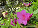 resize0423.jpg