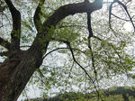 resize0140.jpg