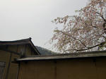 resize0082.jpg