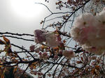 resize0073.jpg