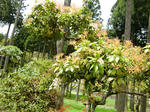 resize0170.jpg