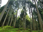 resize0203.jpg