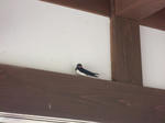 resize0098.jpg