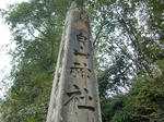 resize0250.jpg