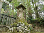 resize0255.jpg