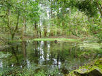 resize0286.jpg