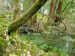 resize0288.jpg
