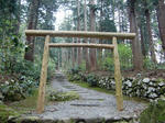 resize0334.jpg