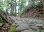 resize0387.jpg