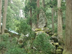 resize0396.jpg