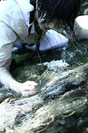 IMG_2156.JPG