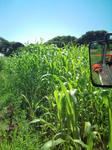 20100724092553.jpg