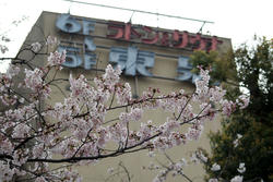 090407e.jpg