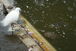 090407b.jpg