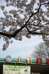 090407g.jpg