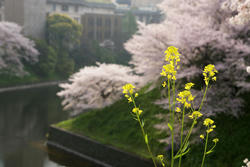 090408c.jpg