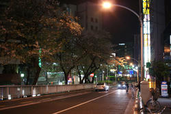 090409b.jpg