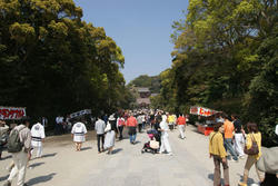 090412a.jpg