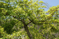 090412b.jpg