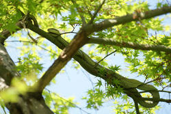090412c.jpg