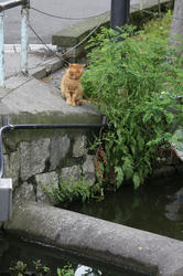 090531e.jpg