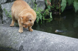 090531d.jpg