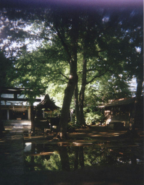 park