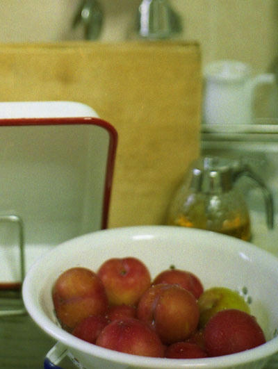 plum-t.jpg
