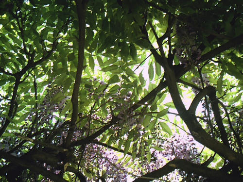 PICT0098.jpg