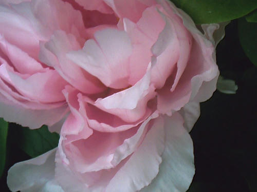 PICT0110.jpg