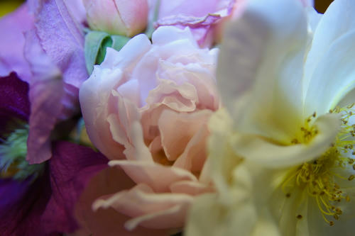 IMGP3544.JPG