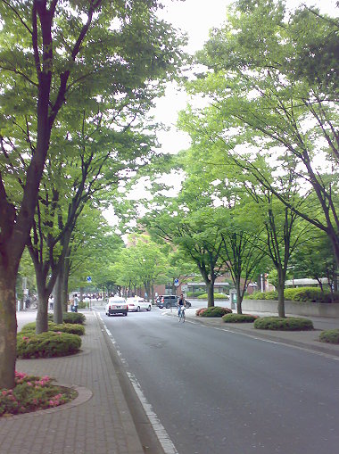200706191357.jpg