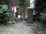 05.JPG