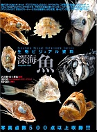 生物ビジュアル資料1深海魚