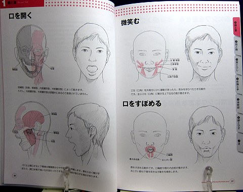 骨と筋肉がわかる人体ポーズ集中身01