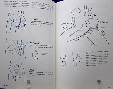 男のお尻の描き方中身05