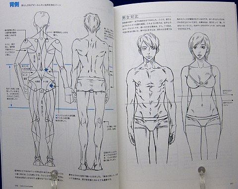 男のお尻の描き方中身03