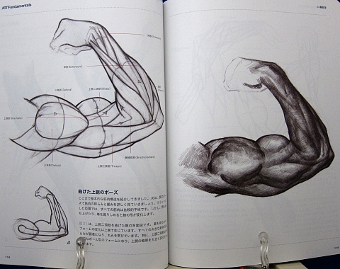 デジタルアーティストが知っておくべきアートの原則中身10