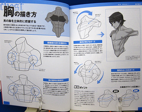 魅せる！男の筋肉を描く中身02