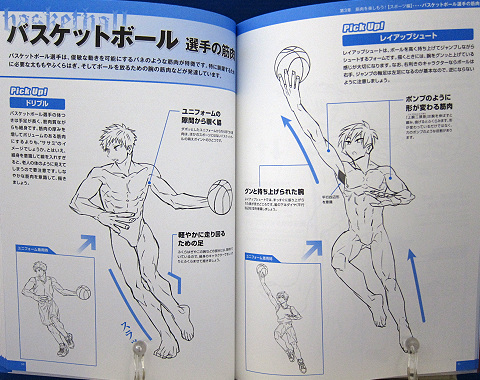 魅せる！男の筋肉を描く中身05