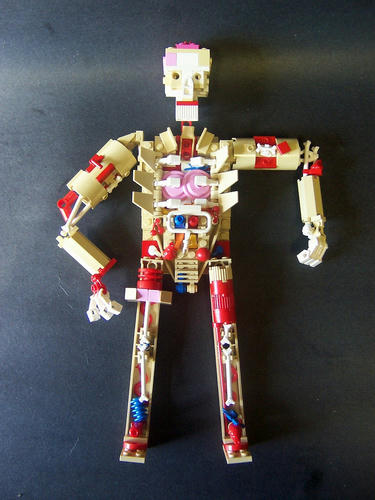 レゴの人体解剖模型