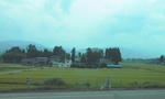 100808_1550~01.jpg
