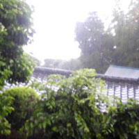 080609.jpeg