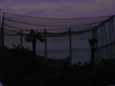 080627-2.jpg