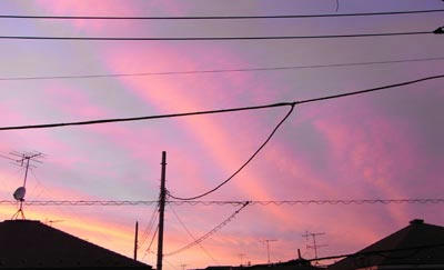 080728-2.jpg