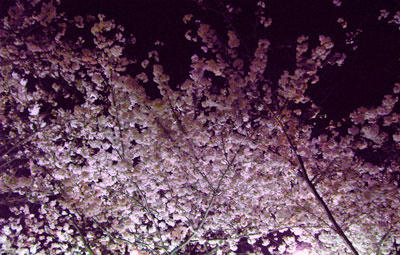 090403.jpg