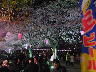 090403-2.jpg