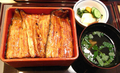 090801-01.jpg