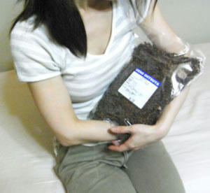 090806.jpg